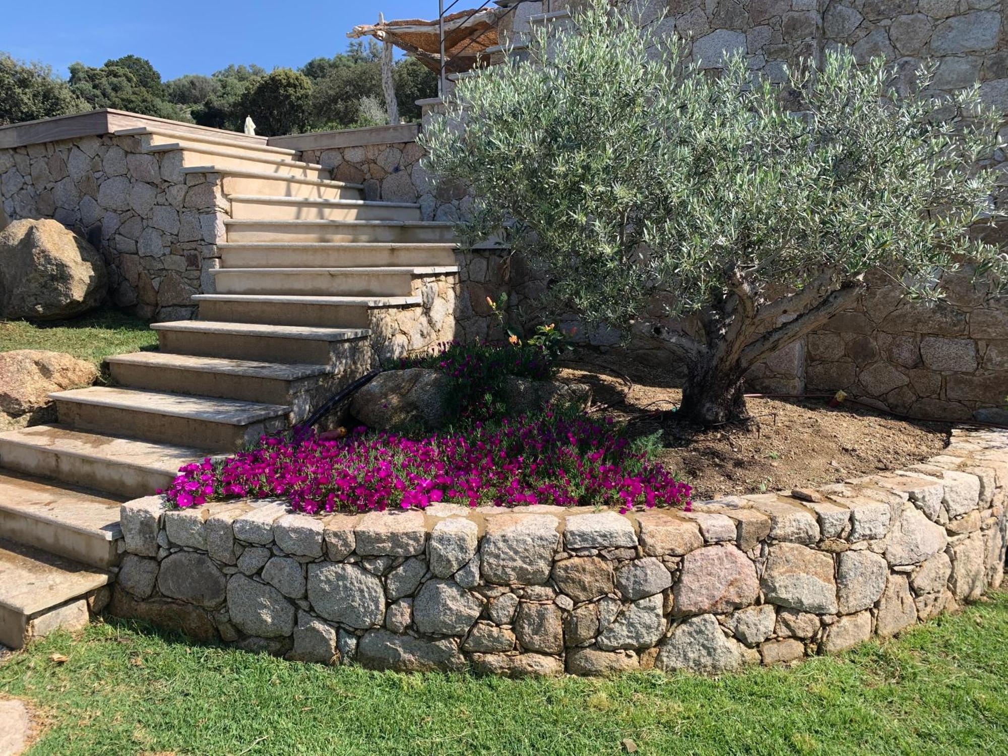 Villa Macagna Corbara Exterior foto