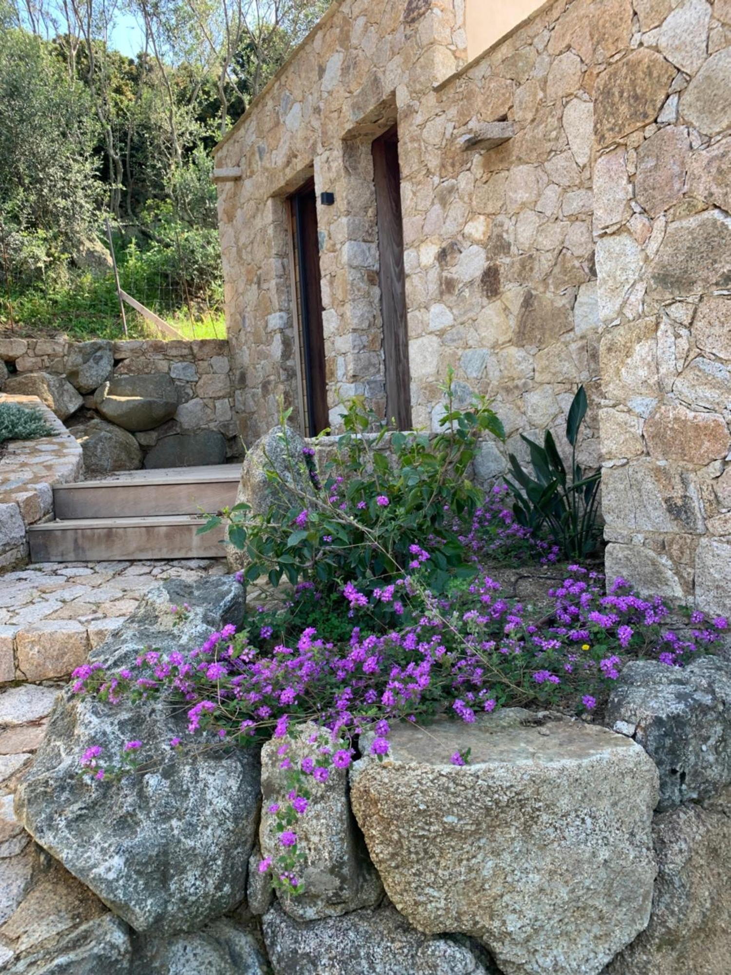 Villa Macagna Corbara Exterior foto