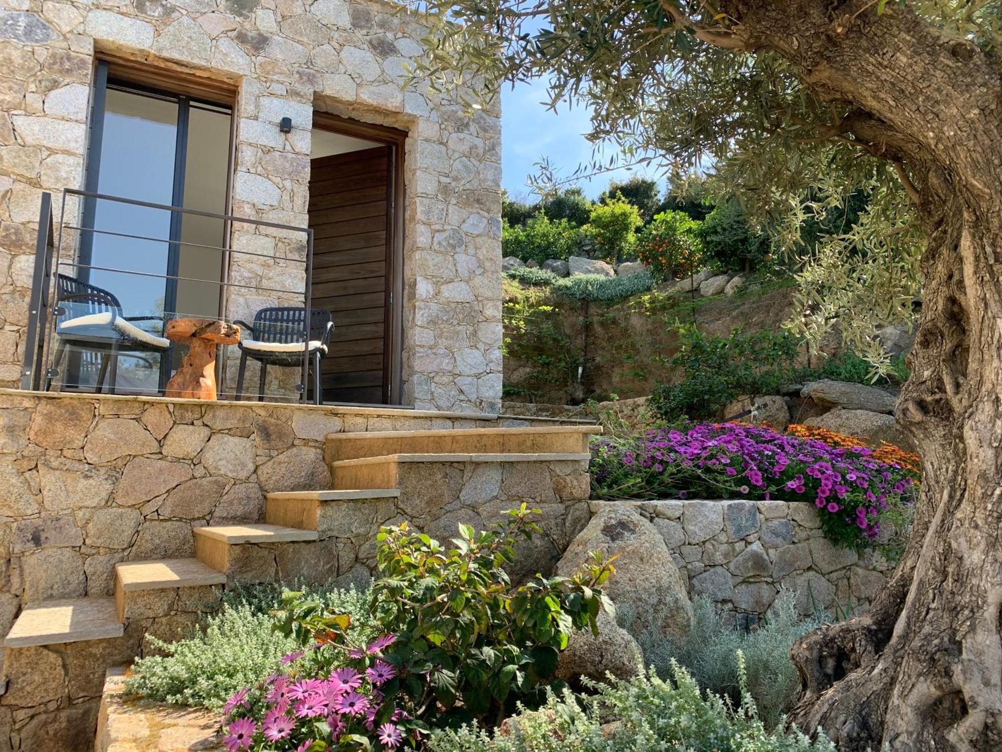 Villa Macagna Corbara Exterior foto